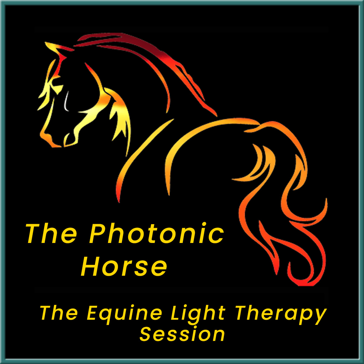 The Equine Light Therapy Session Members Photonic Therapy Institute