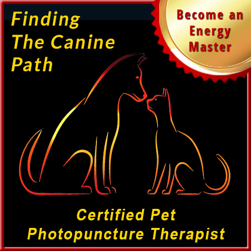 Certified Pet Photopuncture Therapist