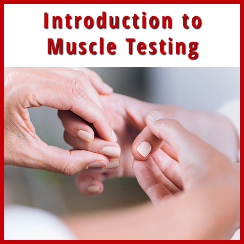 Introduction to Muscle Testing