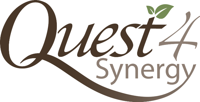 QS-Logo-2
